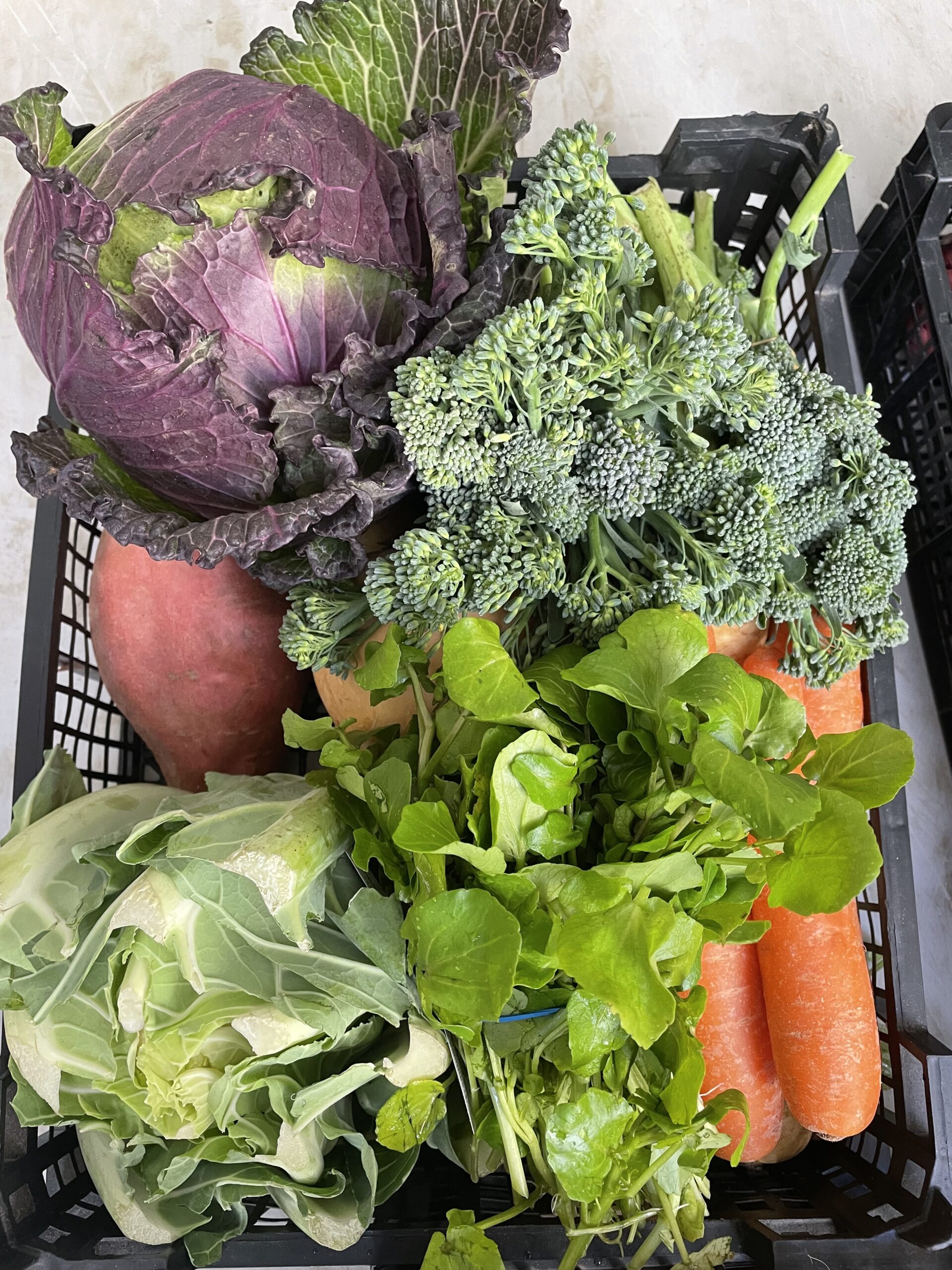 Vegetables