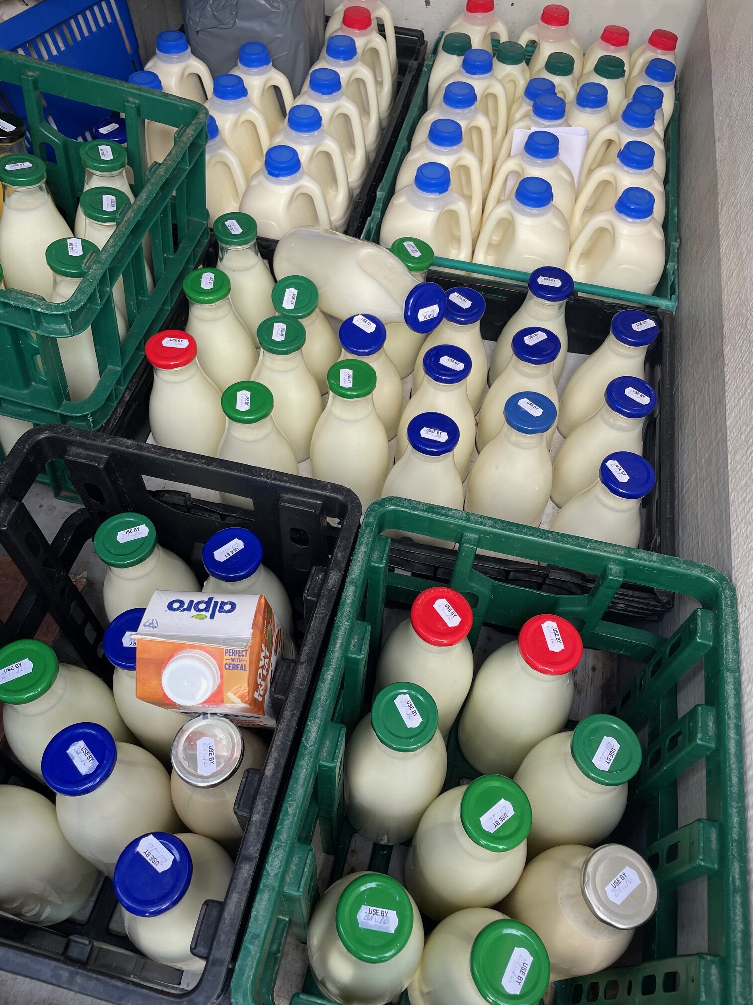 Downs View Farm Milk - Image 2